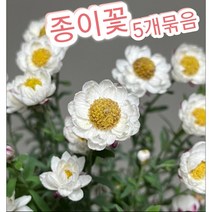 종이꽃-5개묶음/작고 소박한 느낌의 봄의 꽃