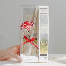 디스이즈 카네이션 디퓨저 세트 200ml, 블랙체리(+쇼핑백)