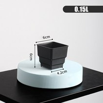 공기정화식물 포인세티아 아라우카리아 천리향 10pcs 즙이 많은 냄비 세트 광장 화분 냄비 보육 냄비 선인장 식물 냄비 좋은 공기 시스템 통기성 정원 실내 장식, 10pcs 검정 s