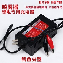 인산철 배터리 킥보드 자동차 전동 리튬건전지 충전식 산업용 밧데리 전지 농업용 분무기 미니카, 리튬 집게 충전기 6-16A 배터리