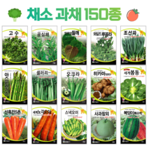 쌈 채소 씨앗 모음 고수 공심채 루꼴라 궁채나물 수박 참외 호박 토마토 상추씨 동남아 종자, 93. 땅콩호박 10립