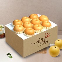 [하늘그린] 달콤한 천안 신고배 5kg10과, 단품