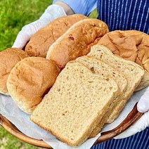 흰밀가루없는빵 100%통밀빵 호밀빵 (식빵/모닝빵/견과빵/단팥빵), 4.통밀단팥빵