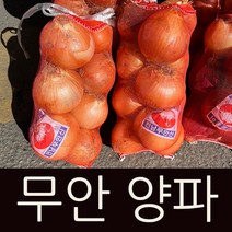 신선 무안 햇양파 3kg/5kg, 흰양파, 3kg, 2개