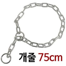 엘턴 체인 목줄(75cm) 초크체인 쇠목줄 개줄 애견줄 리드줄