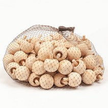 [RA㏓] 버섯 모양 나무 거꾸로 팽이 DIY재료 만들기교구 만들기수업 만들기 DIY 꾸미기 어린이만들기 ▷_§Ea, 《본상품》, ☆탁월한선택