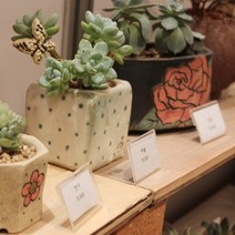 베이커리 빵이름표 메뉴꽂이 6X3.5cm 10P 카페 디저트 네임택 가격판 플라스틱