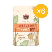 백설 브라운 자일로스설탕, 6개, 500g