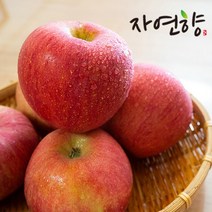 자연향 [22년] 보조개 사과 4.5kg*2박스/ 총9kg, 1