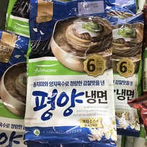 풀무원 평양 물냉면 6인분, 일반포장 동절기만