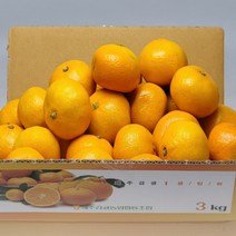 귤림원 감귤 제주 프리미엄 타이벡 고당도 선별 11Brix 이상, 로얄과(2S/S/M) 2.5kg