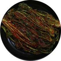 수입 갓김치 / 톡쏘는맛의 중국산김치 5kg 10kg, 5kg(종이박스)