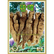 잔대씨앗 1000립