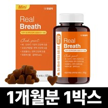 펫생각 Mini 데일리케얼 리얼배도라지 강아지 기관지 영양제 66g 31정