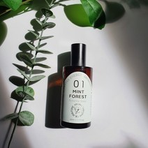 [아로마힐] 천연 아로마 향수 01 민트포레스트50ml 페퍼민트 향수 땀냄새 몸냄새 냄자냄새 노인냄새 홀아비냄새 차량탈취, 1개, 01 민트포레스트 50ml