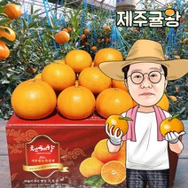 귤왕 농장 직배송 제주 하우스 천혜향 2kg 3kg 5kg 가정용 명절 설 선물세트, 천혜향 가정용 중소과 10kg