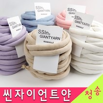 (3시이전 당일발송) 고급형 국산 씬 자이언트얀 500g / 1kg (털방울+라벨 사은품) 호두가방 핑거니팅 연예인 가방 망고실 빅얀 뜨개실 털실 씬자이언트얀, (500g) 02.그린+털방울+라벨