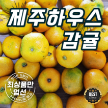 제주 하우스 감귤 제주 귤 중과 2kg 3kg 5kg 대과 3kg 5kg, 제주 하우스 감귤 2Kg(2S-L/벌크)