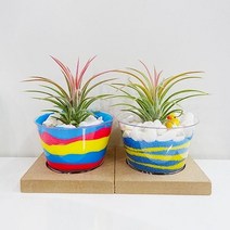 (초등저학년) 알록달록 이오난사 화분 만들기 (1인용 2종 택 1), 색모래