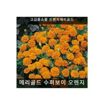 식용꽃 씨앗 모음 ... - (수레국화 2g), 메리골드 수퍼보이 오렌지 10립