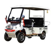 관광지전동카트 골프카 골프장 스쿠터 캐디 4륜전기차, 주문제작 가능 문의바랍니다.