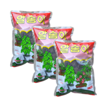 알송이 500g 3개 유박 분재 웃거름
