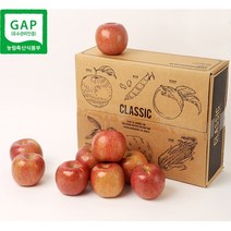 클래식농원 산지직송 괴산 햇 사과 부사 GAP 꿀사과 3kg/ 5kg, 3kg 9-10과(대)