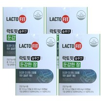 종근당건강 락토핏 솔루션1 둔감한 장 맞춤 유산균 30캡슐(1박스) L2B1 유산균, 30캡슐, 4개