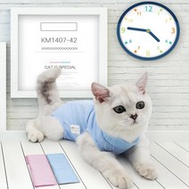 고양이 수술복 반려동물 환부복 애완 신축 통기성 중성화 환묘 옷, Mㅡ블루