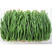 함초건재 300g #함초건재 #함초효능#함초효과 #함초채취, 1개