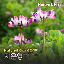 자운영 1kg 자운영씨 자운영종자 자운영씨앗