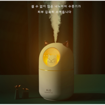 무드등 미니 가습기, 화이트
