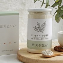 유향 나무 진액 추출 보스웰리아 가루 분말 300g 먹는법