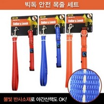 빅독 안전 목줄 강아지산책줄 펫티켓세트특대25mm