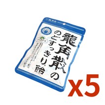 일본 오리지널 용각산캔디 사탕 허브 비파잎추가 100g, 5개
