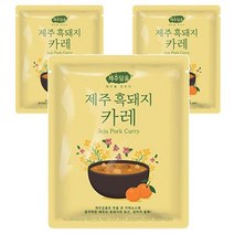 키워도 3분요리 간편식 집밥 자취요리 제주담음 제주 흑돼지 카레 250g, 3세트