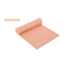 탄성력 복원성 중급자용 운동보조 만능밴드 홈트 자세교정 트레이너 바디프로필 웨이트입문 근육량 밸런스