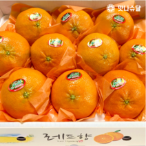 [00호텔납품] 제주 레드향 선물세트 로얄과 제주도 래드향 선물용 3kg 5kg, 선물용 레드향 5kg 로얄과 (20과수 내외), 1개