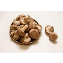 문경 유황 산지직송 백송화 버섯 500g, 단일상품(상품명참조), 1개
