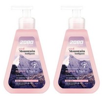 2080 퓨어 핑크마운틴 펌프 치약, 295g, 8개
