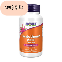 나우푸드 판토텐산 500mg 100베지개입 비타민 B 칼슘 함유 나우 now foods, 1개, 100개