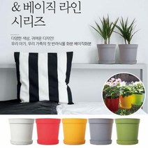 화분 원예용품 실내정원 베이직 미니 컬러 반려식물 인테리어, Aurora™ 베이직미니 그린_AUR™