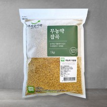 초록숟가락 무농약 기장쌀 1kg, 1포