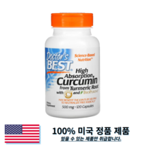 닥터스베스트 하이 앱솔션 커큐민 강황 추출물 500mg 캡슐 120정