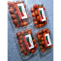 가람상점 설탕토마토 스테비아 대추방울토마토 500g 1kg 2kg 한박스, 1개