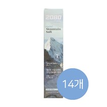 2080 퓨어 마운틴솔트 치약 크리스탈 민트, 160g, 14개