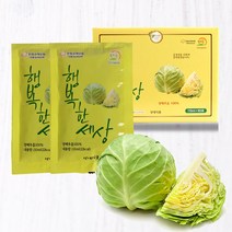 [당일발송]파격할인 믿을수 있는 원산지 무안 양배추즙 110mlx60포 120포 150포, 60팩, 110ml