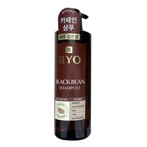 려 파주검은콩 샴푸 뿌리볼륨케어 800ml 한방샴푸, 선택없음