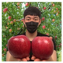 껍질채먹는 보조개 홍로 청송 감홍 부사 안동 사과 못난이 흠집 제수용 선물용 5kg 10kg, 껍질채먹는 보조개 홍로 청송 감_사과 가정용 소과 10