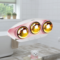 욕실 온열등 온열기 욕실용히터 화장실 벽걸이 3구 추위 난로